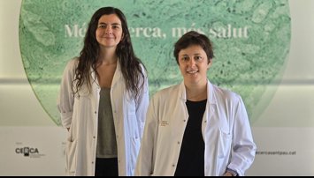 Investigación