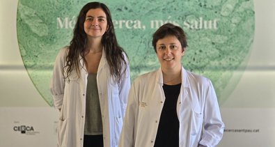 Investigación