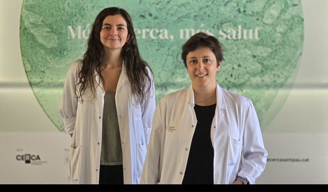 Investigación
