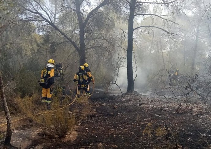 Incendio forestal en Santa Eulària.