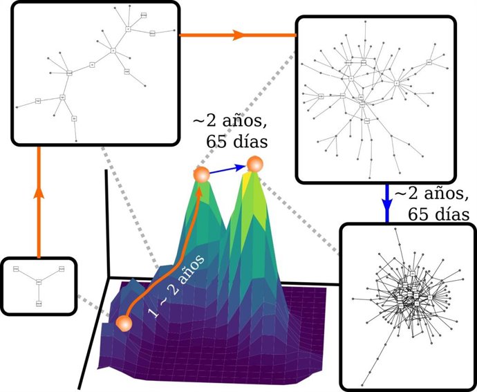 La figura muestra una trayectoria común de adquisición del lenguaje, desde estructuras simples e inmaduras (pico izquierdo) hasta redes más complejas y conectadas (pico derecho), con una transición abrupta alrededor de los 2 años y 2 meses.