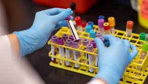 Investigación
