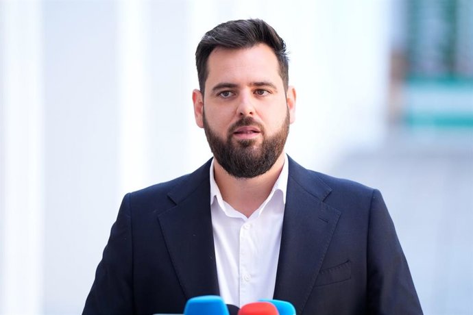 El secretario adjunto de Organización del PSOE-A, Alejandro Moyano, atiende a los medios en el Parlamento andaluz.