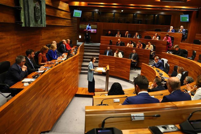 Archivo - La portavoz socialista en la Junta General, Dolores Carcedo, durante su intervención en el Pleno institucional por el Día de Asturias.