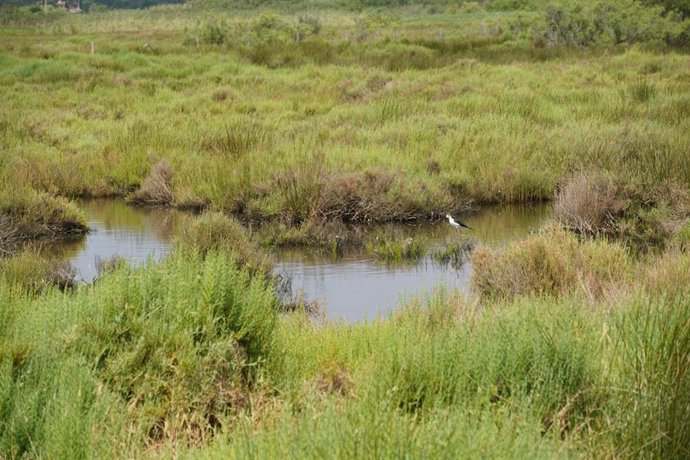 Archivo - Imagen de uno de los refugios climáticos con biodiversidad.