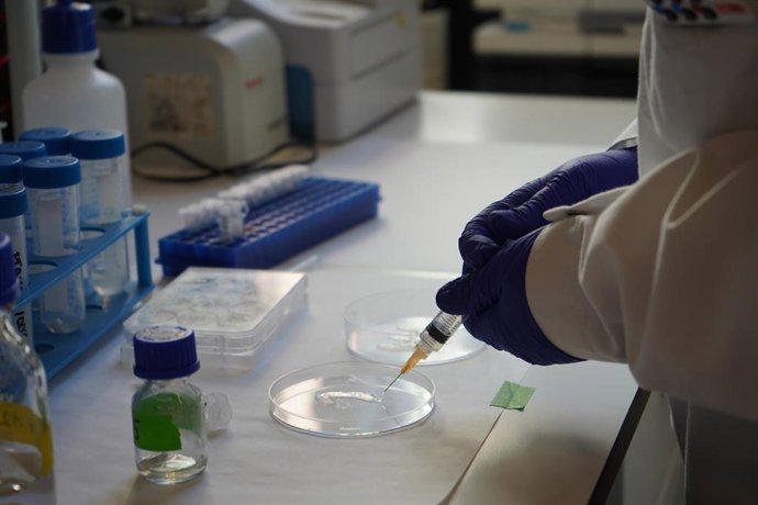Administración del hidrogel en un laboratorio del Vhir.