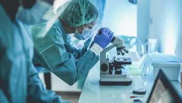 Investigación