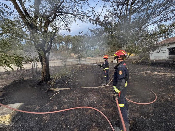 Efectivos del cuerpo de Bomberos combaten el fuego declarado en la zona del puente del río Cofio