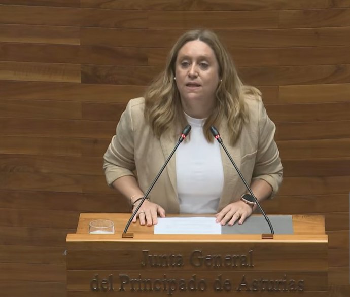 La consejera de Derechos Sociales, Nerea Monroy, en la Junta General.