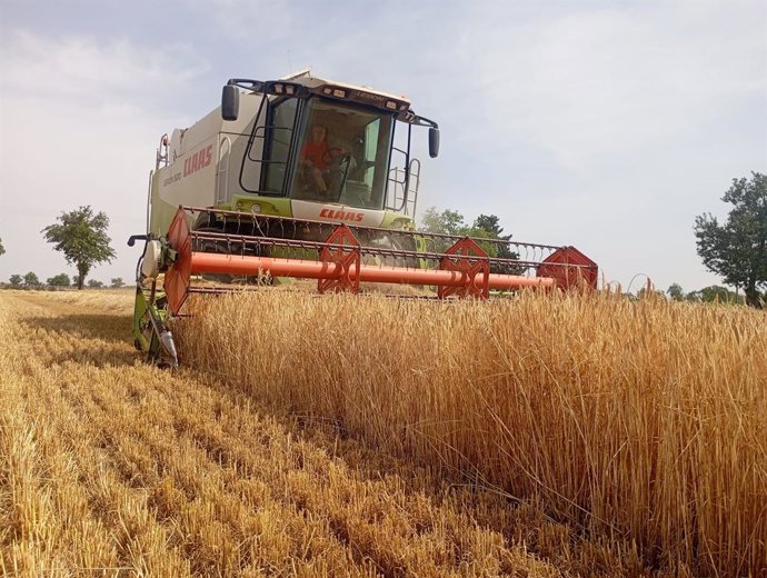 Archivo - VanEck lanza un ETF global con exposición al sector del agronegocio.