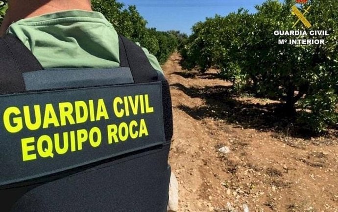 Un agente del equipo ROCA de la Guardia Civil en una foto de archivo