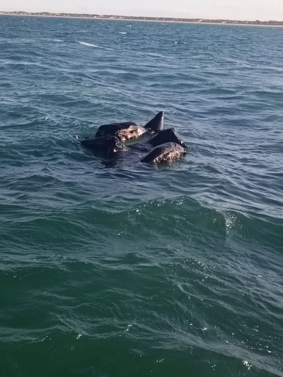 Rescatadas dos personas a la deriva en una neumática con vía de agua frente a las costas de Doñana.
