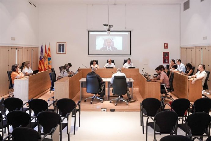 Pleno Consell de Formentera