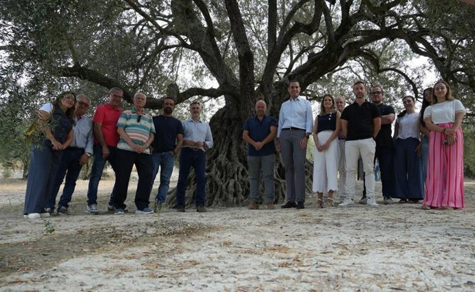Visita al sendero del olivo milenario Acebuche de las Hoyas.