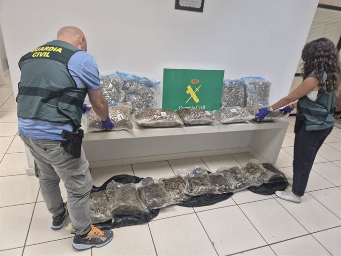 Dos agentes de la Guardia Civil, con la marihuana intervenida.