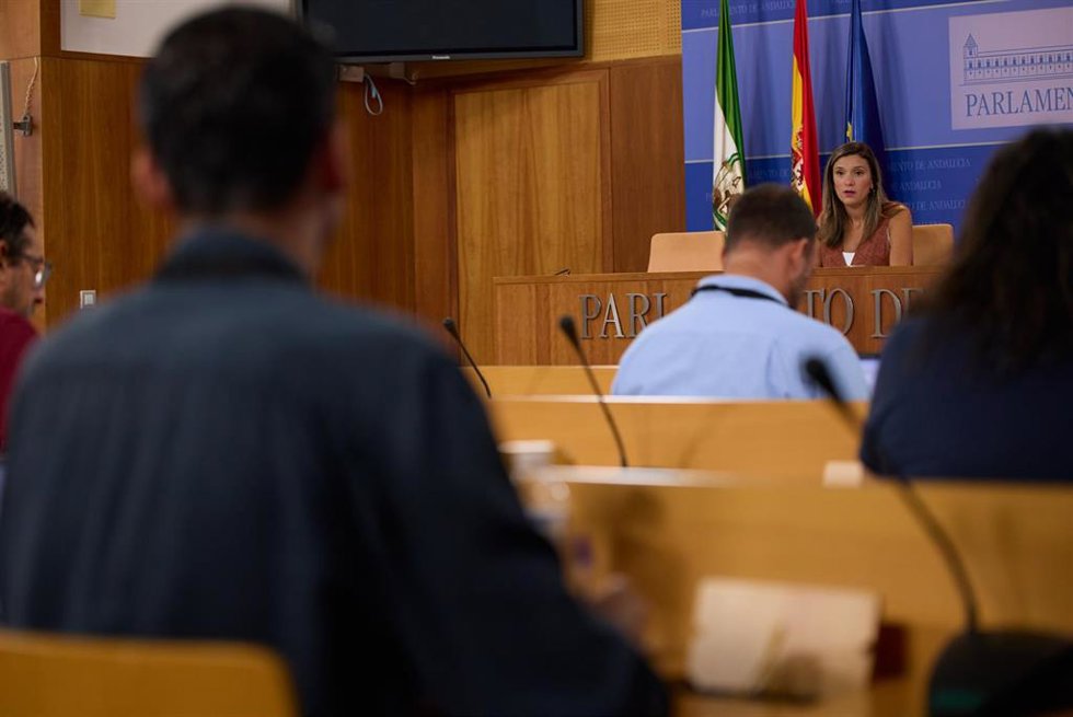 La portavoz adjunta del Grupo Socialista María Márquez, en rueda de prensa en el Parlamento andaluz.