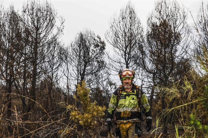 Un bombero realiza labores de extinción de incendios, a 28 de agosto de 2026, en El Saler, Comunidad Valenciana (España). 
