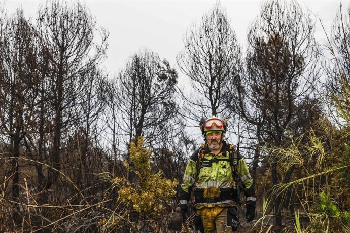 Un bomber realitza labors d'extinció d'incendis, a 28 d'agost del 2026, al Saler, Comunitat Valenciana (Espanya). 