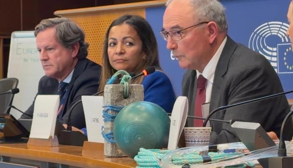 La conselleira del Mar, Marta Villaverde, en el Parlamento Europeo