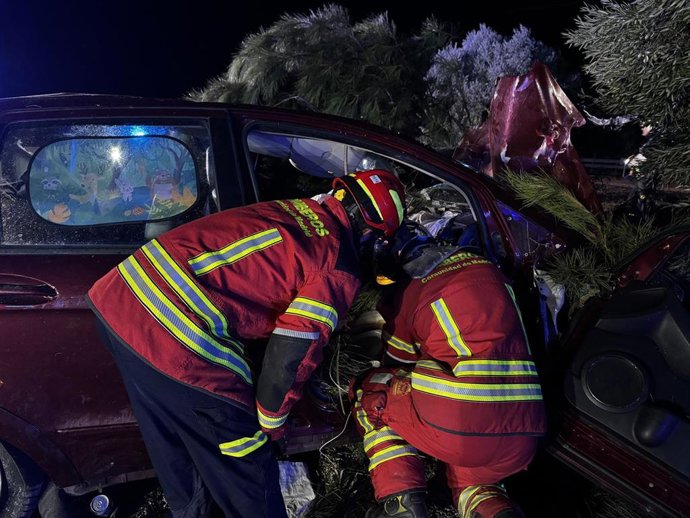 Efectivos del cuerpo de Bomberos de la Comunidad de Madrid durante las labores de rescate del herido