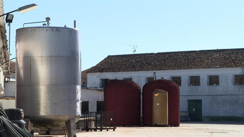Archivo - Cooperativa Nuestra Señora del Egido.