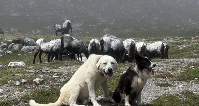 Asturias Rural