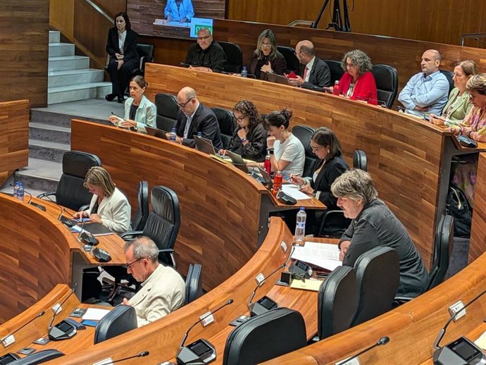 Pleno de la Junta General del Principado