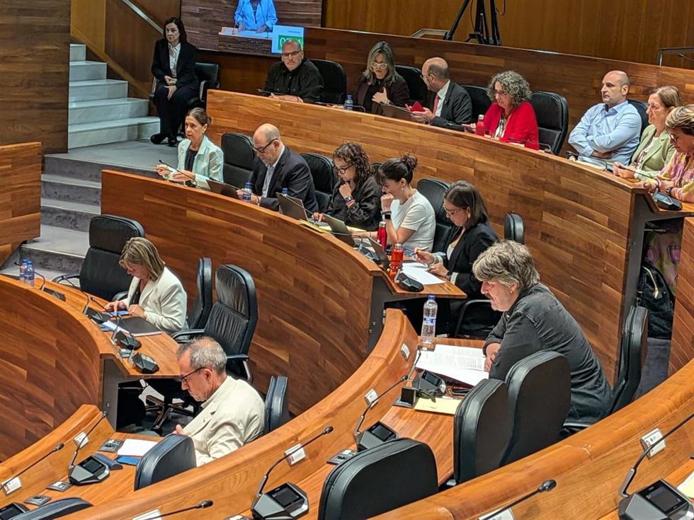 Pleno de la Junta General del Principado
