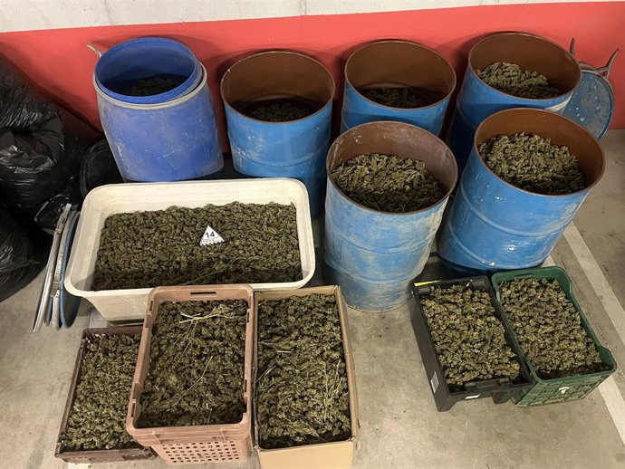 Marihuana intervinguda en el dispositiu