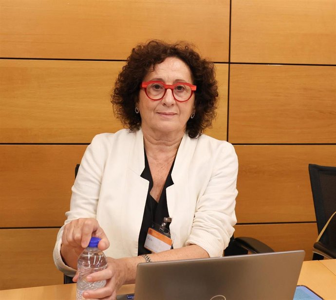 La consejera de Derechos Sociales del Gobierno de Navarra, Mari Carmen Maeztu.