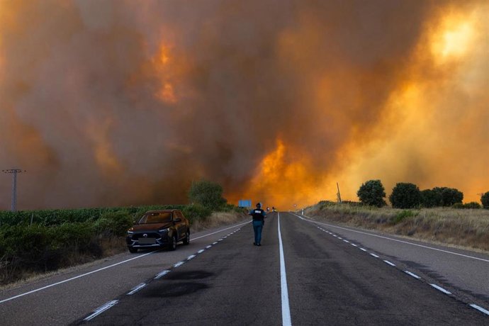 Archivo - Llamas y humo procedentes de un incendio forestal, a 29 de julio de 2026, en Fermoselle, Zamora, Castilla y León (España). 