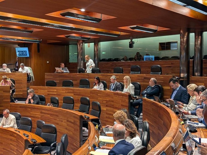 Pleno de la Junta General