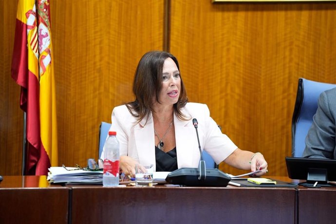 La consejera de Vivienda, Juventud y Ordenación del Territorio, Rocío Díaz, en comisión parlamentaria.