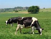 Foto: Cantabria pedirá este viernes fondos de 1,8 millones para el pago de ayudas a agricultores y ganaderos