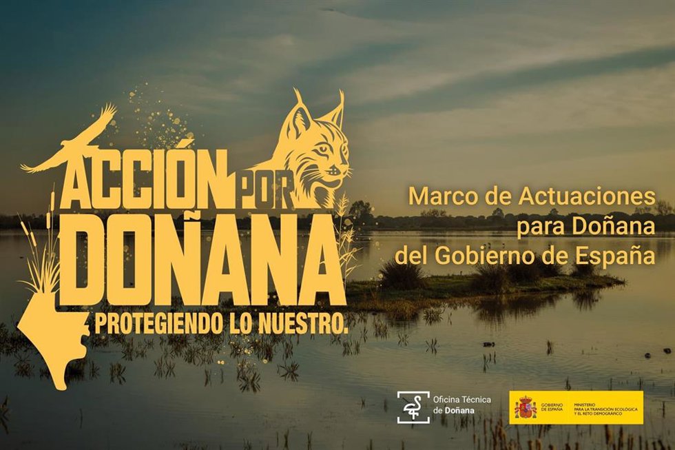 Cartel de la campaña 'Acción por Doñana. Protegiendo lo nuestro'.