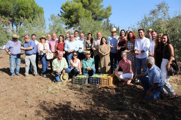 La delegada territorial de Agricultura, Pesca, Agua y Desarrollo Rural de la Junta de Andalucía, Laura Soto, en el inicio de la campaña de verdeo 2026 de la Aceituna Aloreña