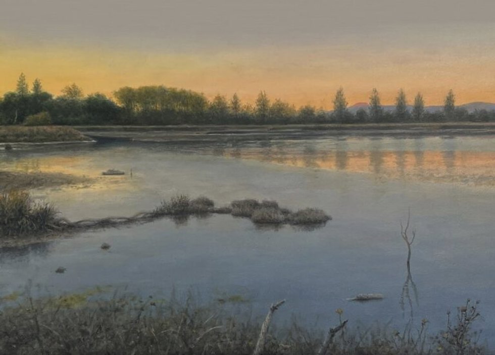 Exposición de Carlos Marcote