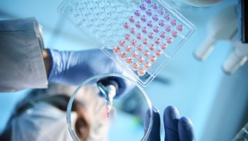 Investigación