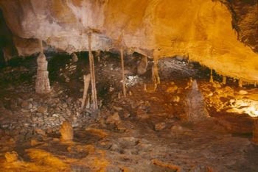 Cueva en Ruesga