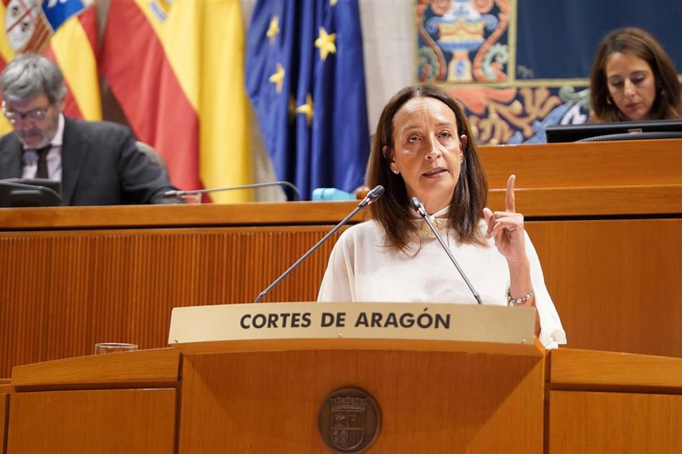 Pleno.- Susín afirma que "la izquierda ha fracasado" con su política educativa y "ha arrastrado a toda la sociedad"