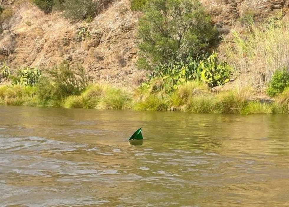 El río Guadiana con restos de embarcaciones hundas por las inundaciones de febrero.