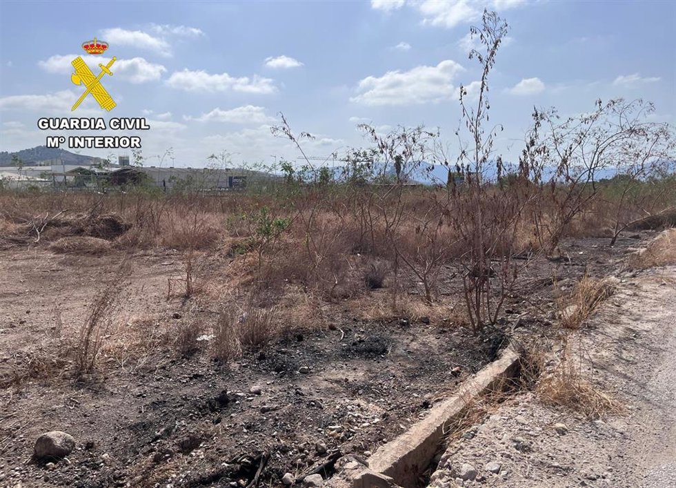 Superficie calcinada tras uno de los incendios