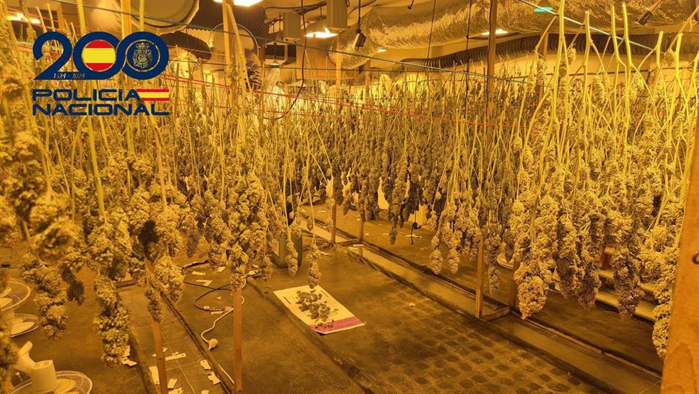 Centro de distribución de droga en Sevilla