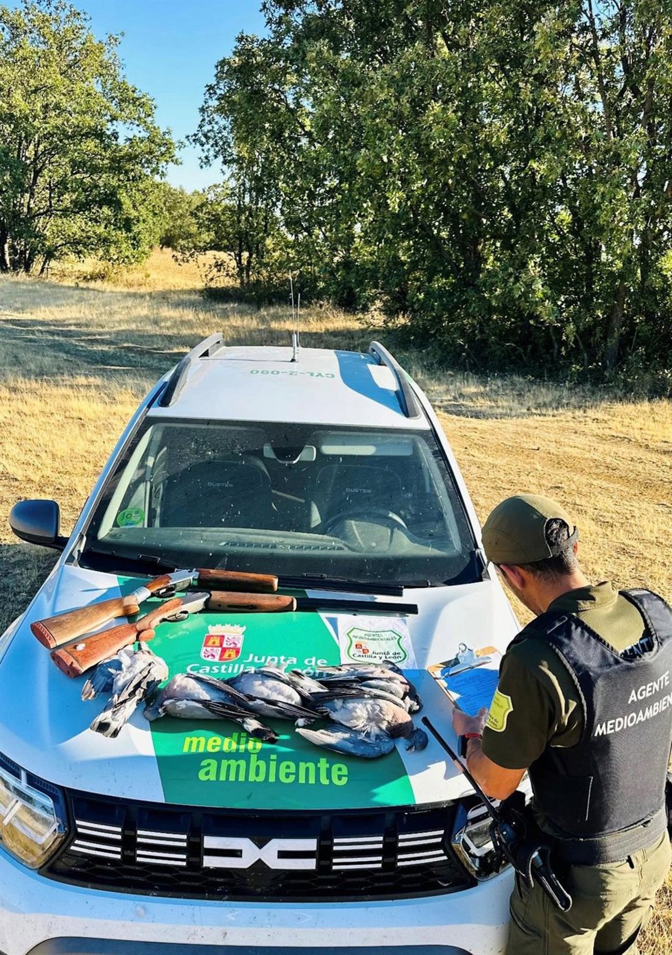 El servicio ambiental de la Junta denuncia en Becerril (Riaza) a dos personas por cazar palomas sin autorización
