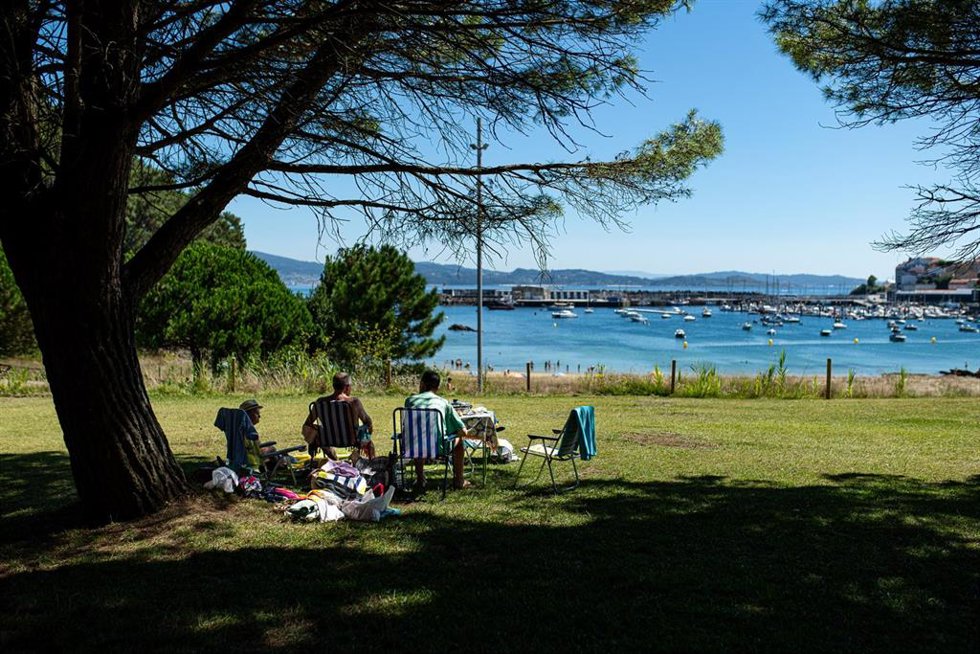 Archivo - Varias personas se refugian del sol bajo un árbol, a 7 de agosto de 2023, en Pontevedra, Galicia (España).