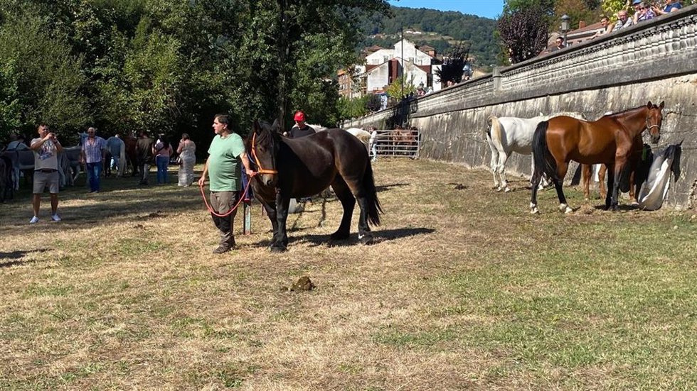 El 64 Certamen Municipal de Ganado de San Martín del Rey Aurelio se celebrará el 13 de septiembre en el parque de El Florán