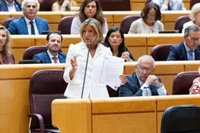 El PP se lanza contra la ministra Elma Saiz y pide saber cuántos irregulares de Ceuta hay en CETI y cuántos fuera