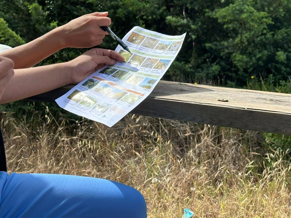 Un alumno consulta un papel informativo durante una activdad de ProDunas Marbella