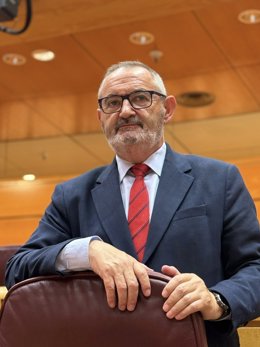 El senador por el PP lucense José Manuel Balseiro Orol.