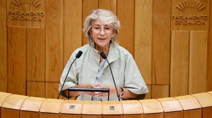 La diputada del PSdeG en el Parlamento de Galicia Silvia Longueira